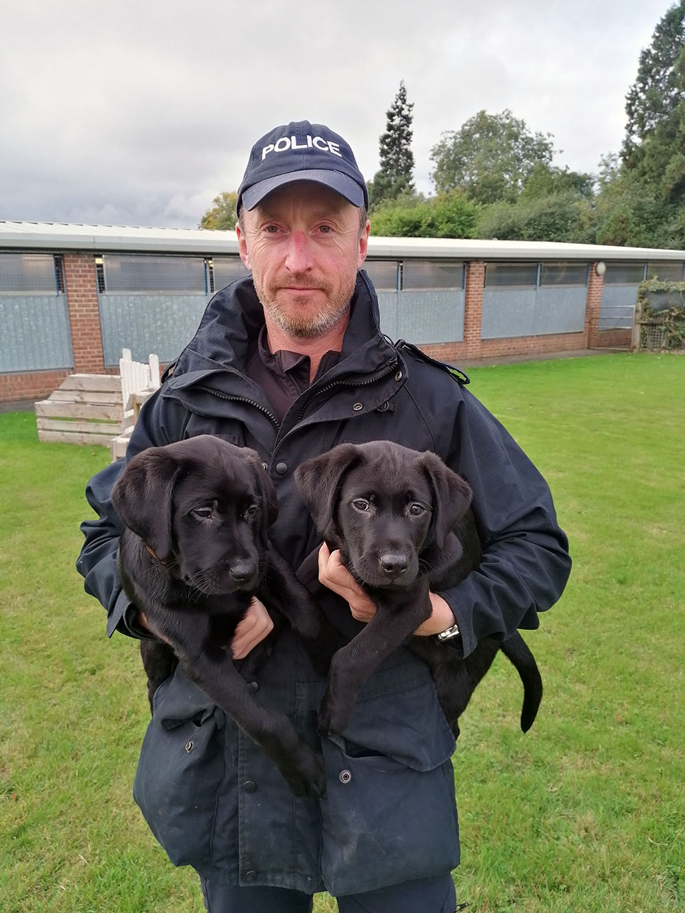 Police officer holding two black labrador puppies