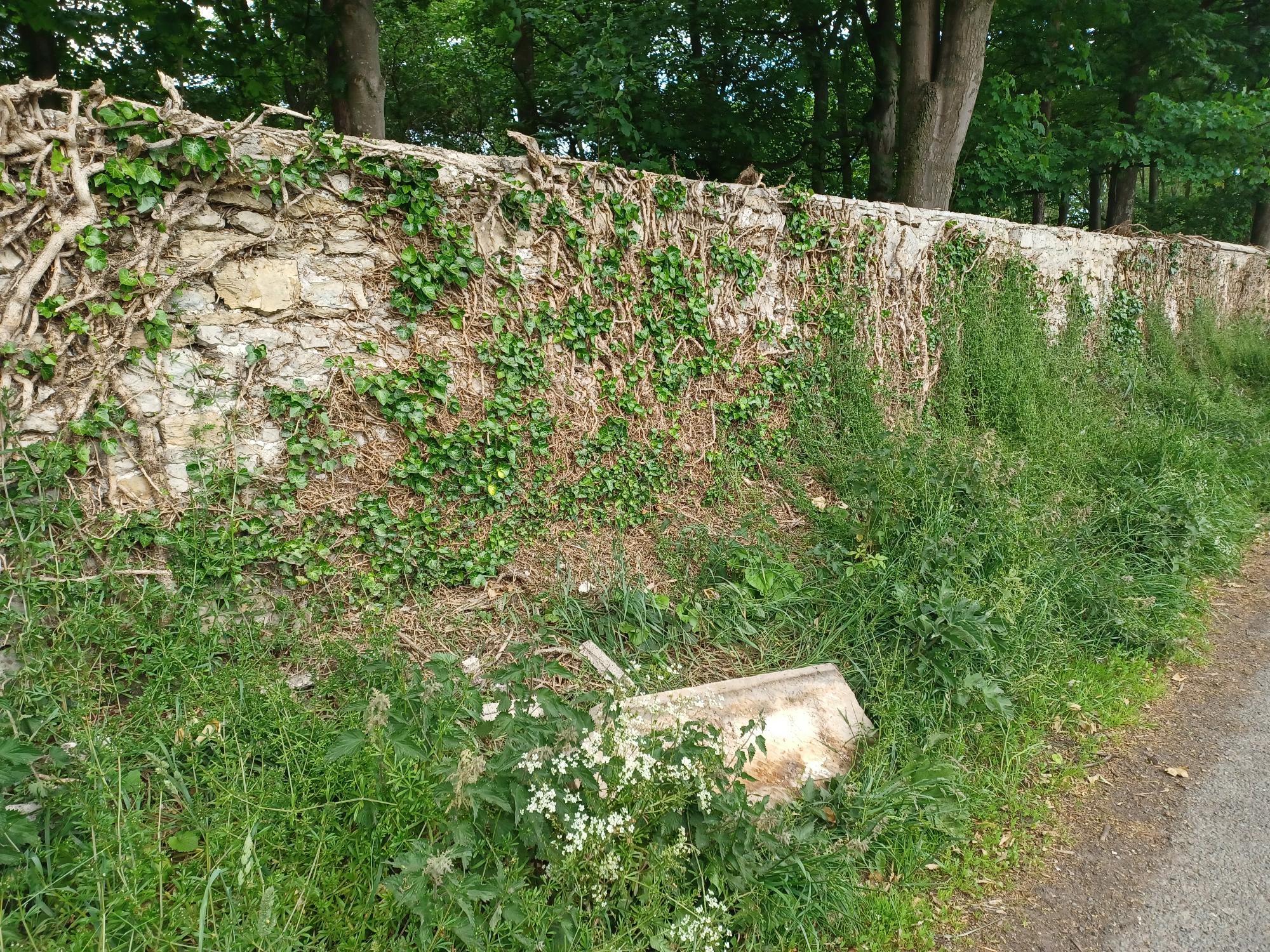 Historic wall