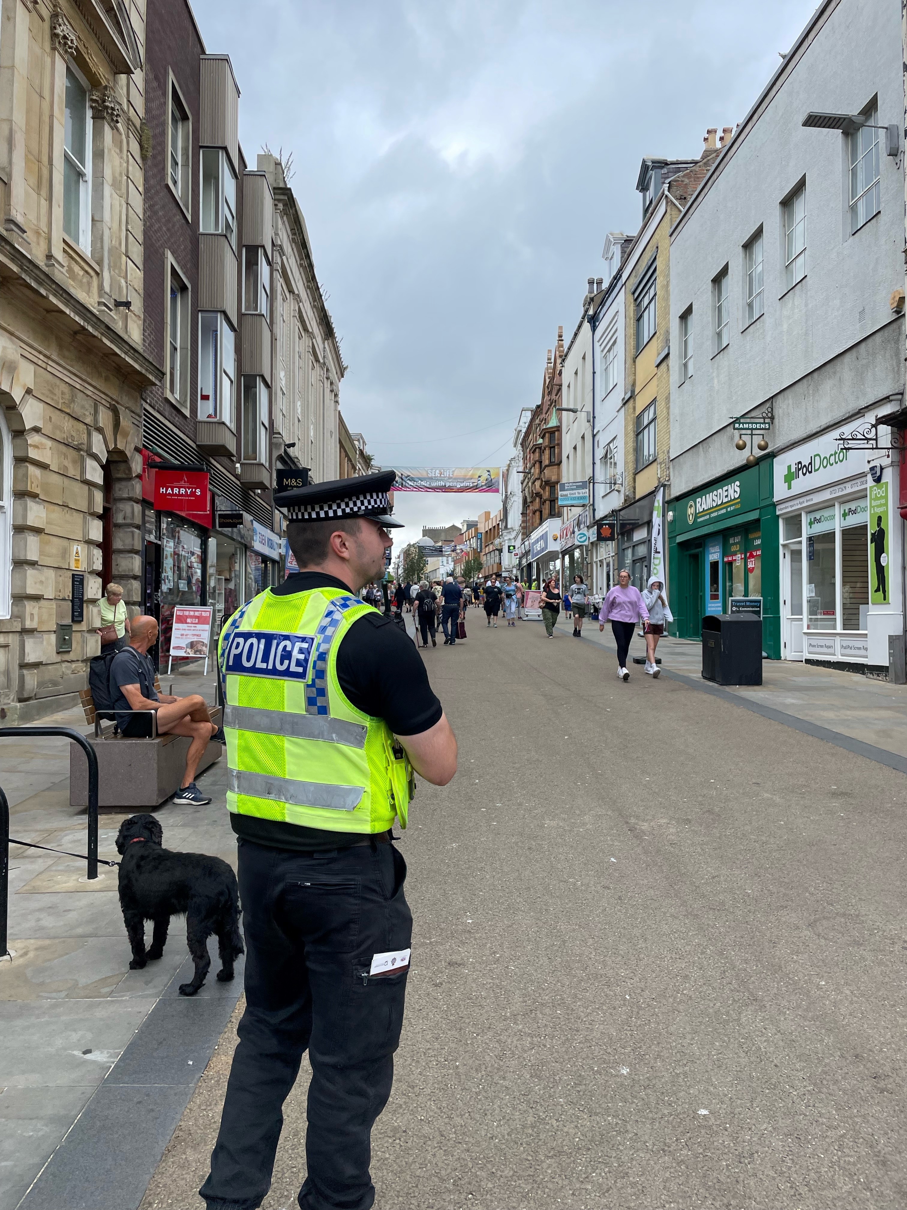 pedestrian safety operation in Scarborough