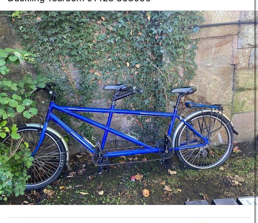 stolen blue tandem bicycle 