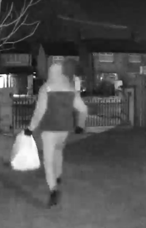 burglary suspect