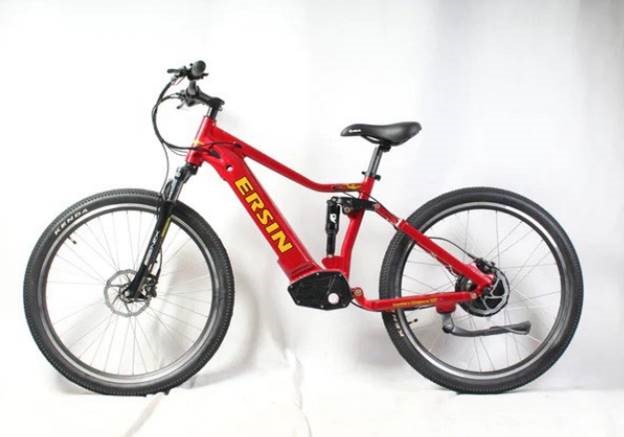 stolen mountain bike 