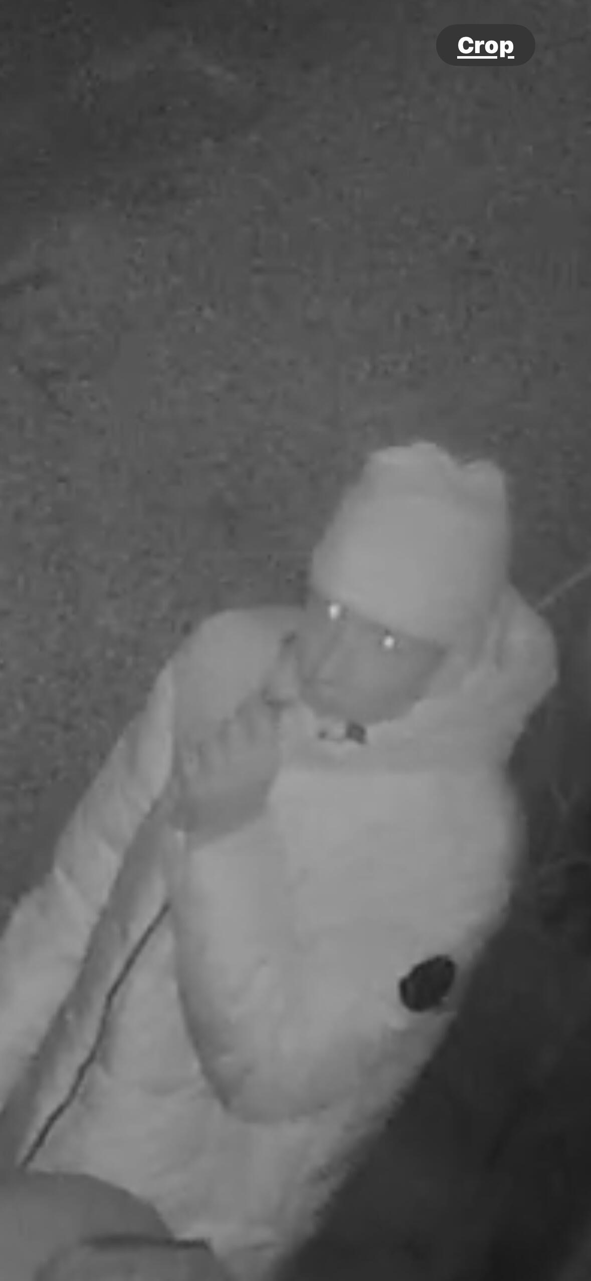 CCTV appeal following attempted burglary and bicycle theft in Selby
