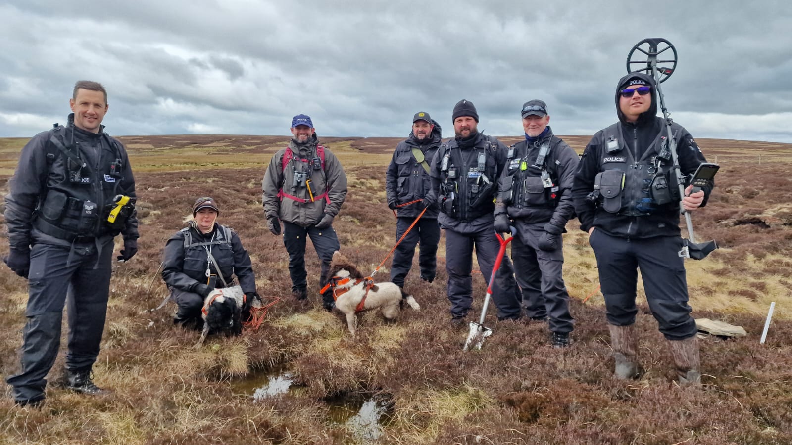 Hen Harrier warrant 