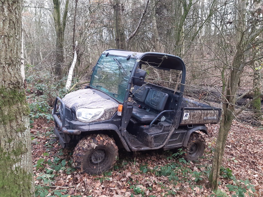 buggy