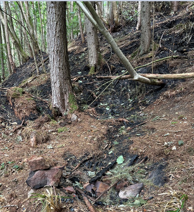 fire damage