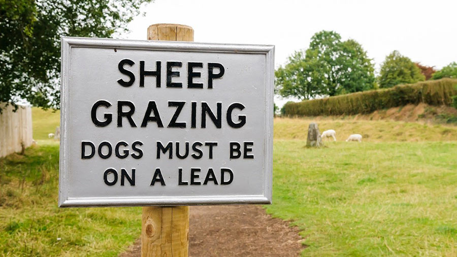 Sheep grazing sign
