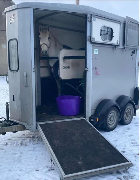 Stolen horse trailer