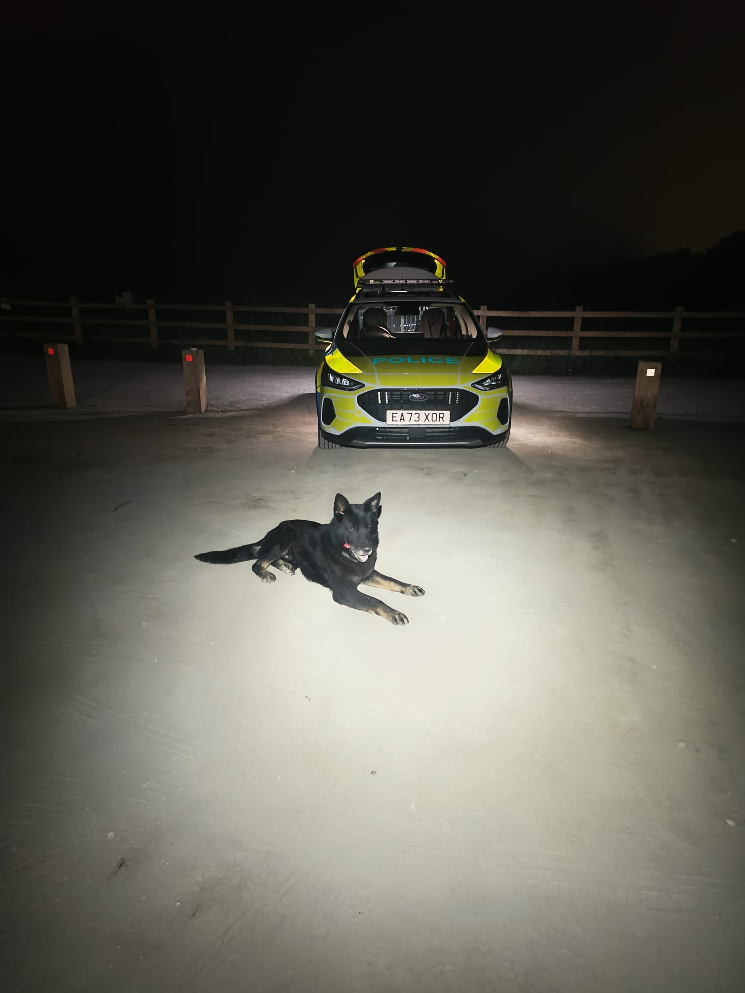 PD Kenai