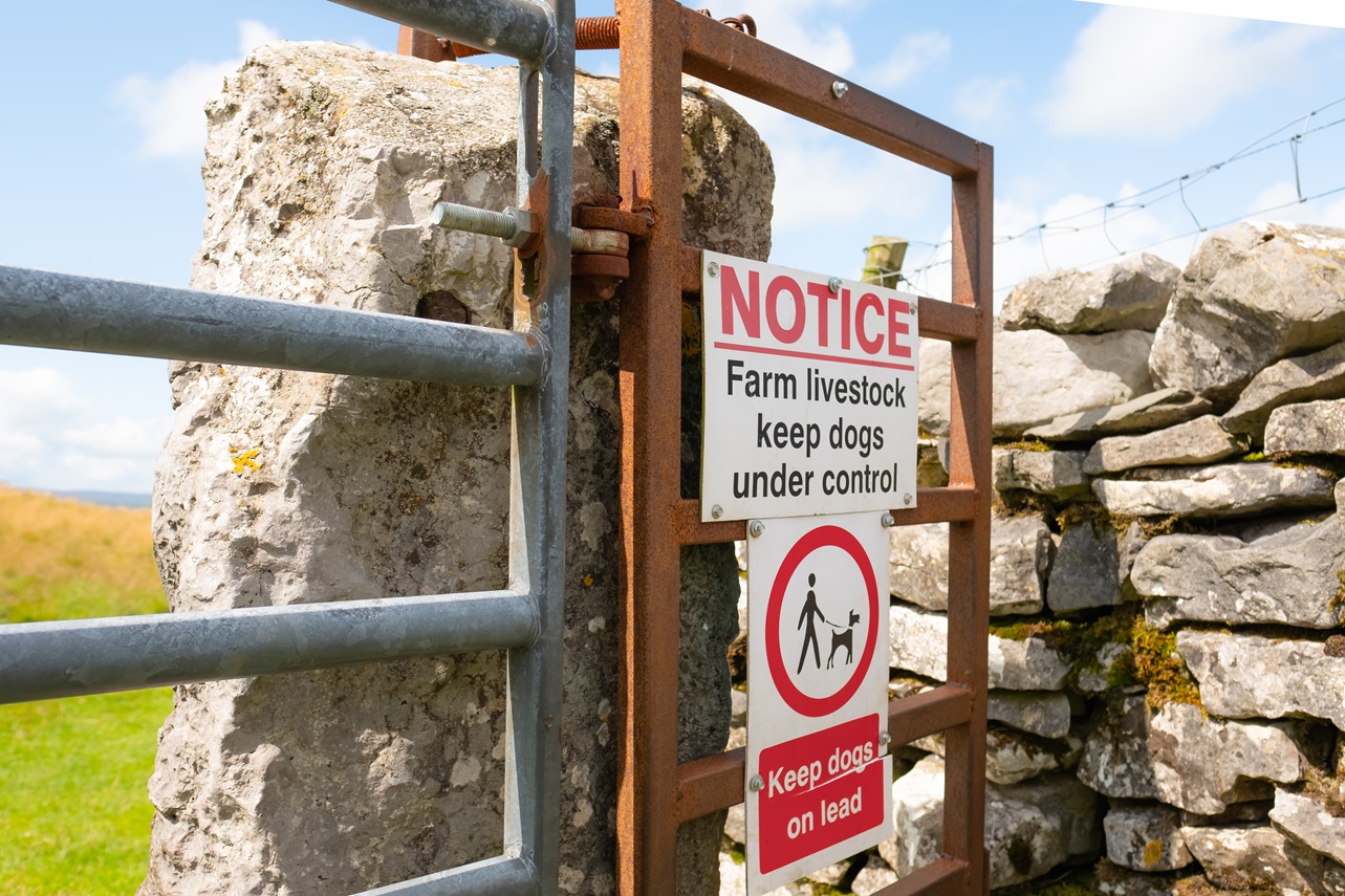 Livestock worrying