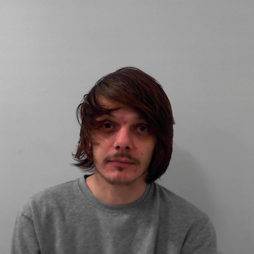 Liam Antony Rodgers, 33, of no fixed address, has been sectioned after sexually assaulting a woman and repeatedly stabbing another man in an unprovoked attacked.