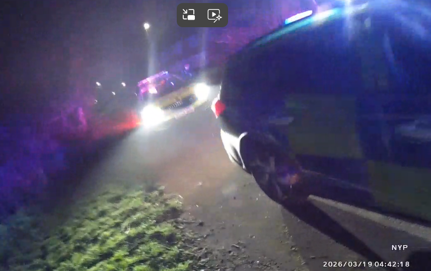 marked police cars with blue lights illuminated 